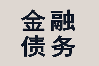 江宁清债公司